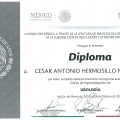 Ampliar imagen: certificate 4