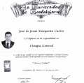 Ampliar imagen: certificate 5