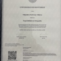 Ampliar imagen: certificate 2
