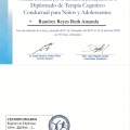 Ampliar imagen: certificate 6