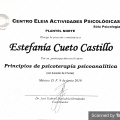 Ampliar imagen: certificate 2