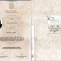 Ampliar imagen: certificate 3