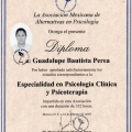 Ampliar imagen: certificate 1