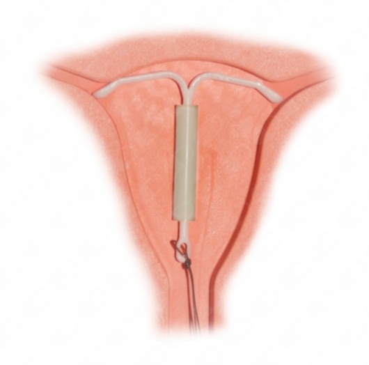 Ma. Del Carmen Hernández Ovando-17