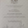 Ampliar imagen: certificate 3