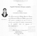 Ampliar imagen: certificate 12