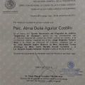 Ampliar imagen: certificate 14