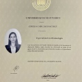 Ampliar imagen: certificate 5