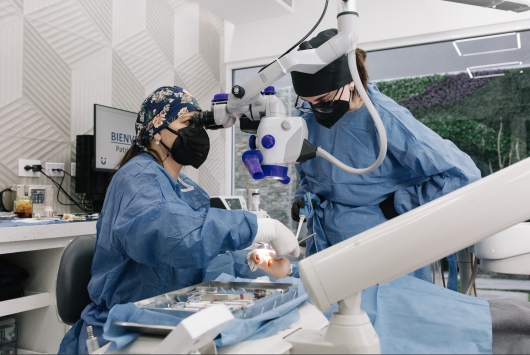 Gabriela Chapa Arizpe-0