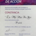 Ampliar imagen: certificate 63