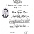 Ampliar imagen: certificate 3