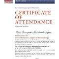 Ampliar imagen: certificate 9