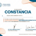 Ampliar imagen: certificate 3