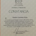 Ampliar imagen: certificate 62