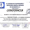 Ampliar imagen: certificate 11