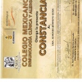 Ampliar imagen: certificate 8