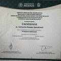 Ampliar imagen: certificate 8