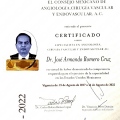 Ampliar imagen: certificate 5