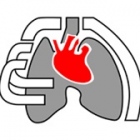 Dr. Ernesto Velasco Femat