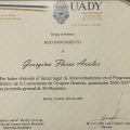 Ampliar imagen: certificate 3