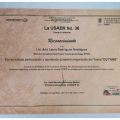 Ampliar imagen: certificate 2