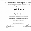 Ampliar imagen: certificate 8