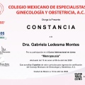 Ampliar imagen: certificate 5