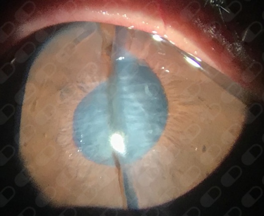 Wendolyn Ramírez Estrada-3