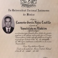Ampliar imagen: certificate 6