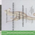 Ampliar imagen: certificate 5