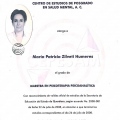 Ampliar imagen: certificate 2