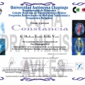 Ampliar imagen: certificate 18