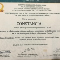 Ampliar imagen: certificate 15