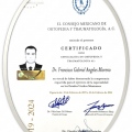 Ampliar imagen: certificate 3