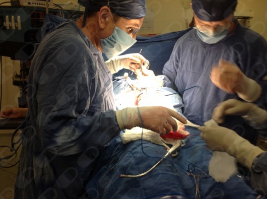 Ernesto Peimbert Puente-9