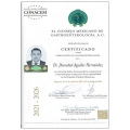 Ampliar imagen: certificate 7