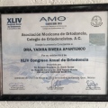 Ampliar imagen: certificate 2