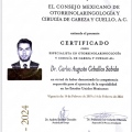 Ampliar imagen: certificate 3