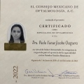 Ampliar imagen: certificate 2