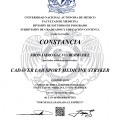 Ampliar imagen: certificate 1