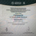 Ampliar imagen: certificate 6