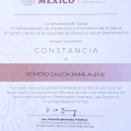 Ampliar imagen: certificate 4