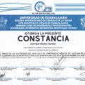 Ampliar imagen: certificate 135
