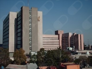 Tedd Ochoa Vázquez-5