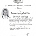 Ampliar imagen: certificate 2