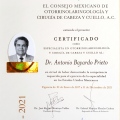 Ampliar imagen: certificate 21