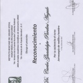 Ampliar imagen: certificate 10