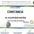 Ampliar imagen: certificate 17