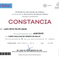 Ampliar imagen: certificate 7