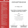 Ampliar imagen: certificate 22
